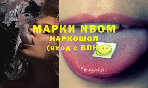 гашик Балахна