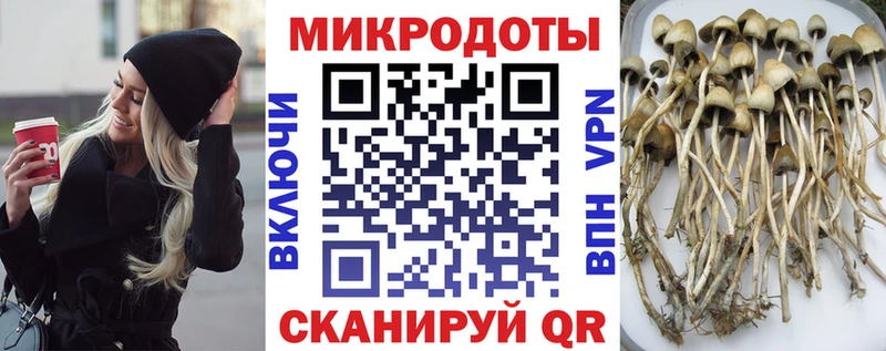 Галлюциногенные грибы Magic Shrooms  MEGA ссылка  Козельск  где купить наркоту 