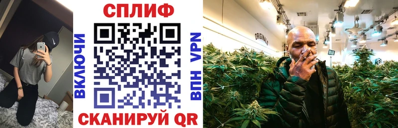 Конопля сатива  Козельск 